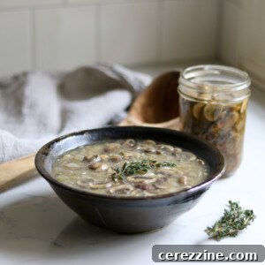 Prepared Cream of Mushroom Soup from Home Canned