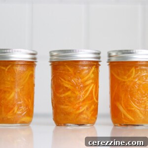 Low Sugar Orange Marmalade
