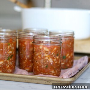 From Pot to Pantry: Canning Chili Con Carne 21 Canning Chili Con Carne