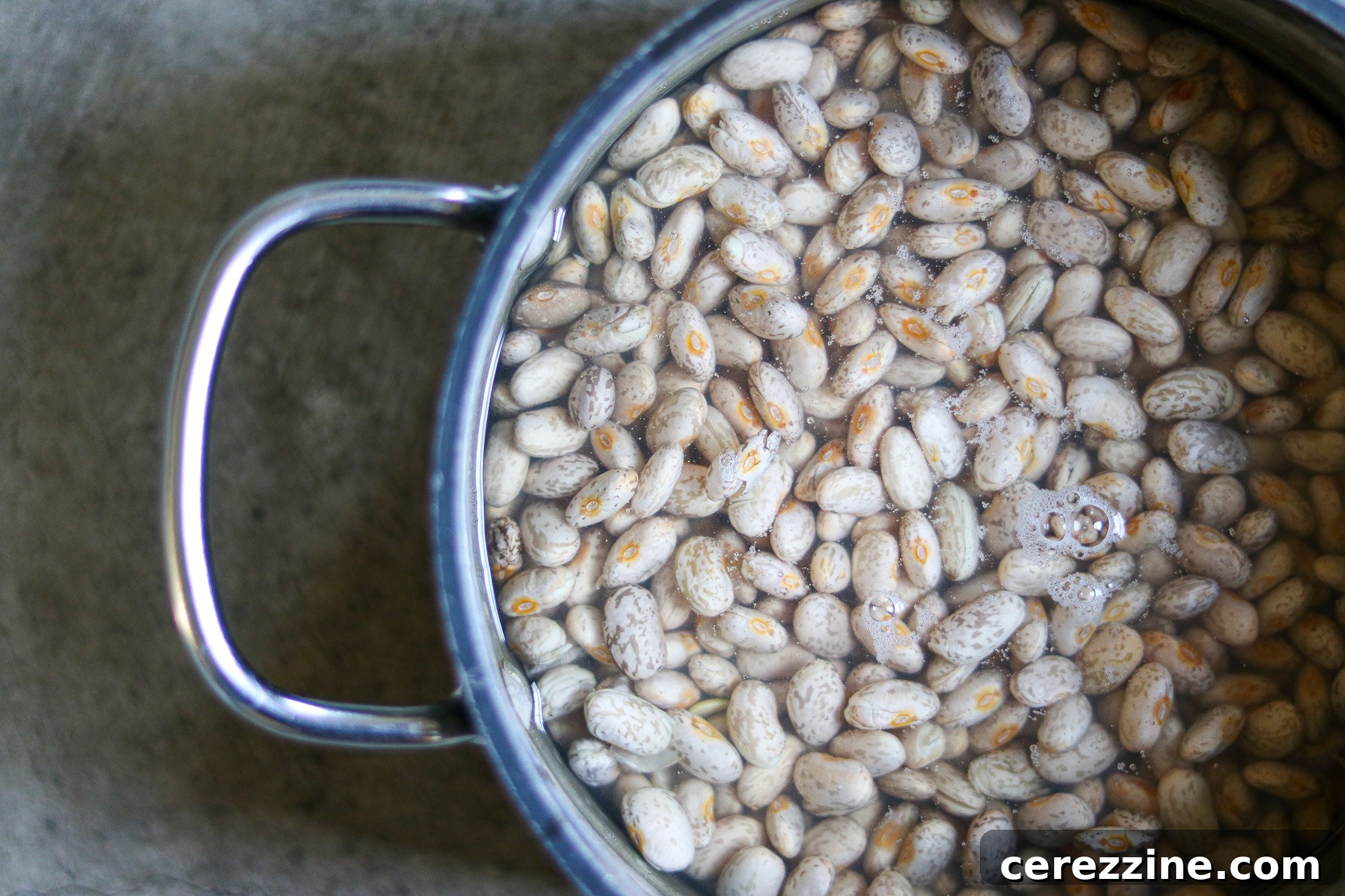 From Pot to Pantry: Canning Chili Con Carne 7 Soaking Beans for Chili