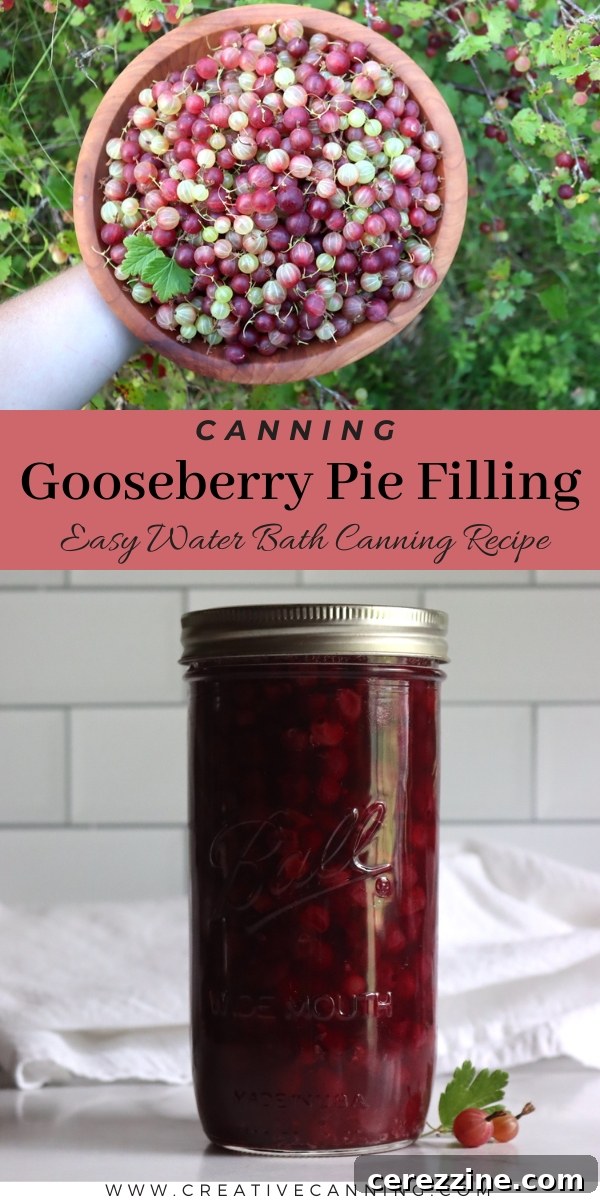 Preserving Tangy Gooseberry Pie Filling 8 Water Bath Canning Gooseberry Pie Filling