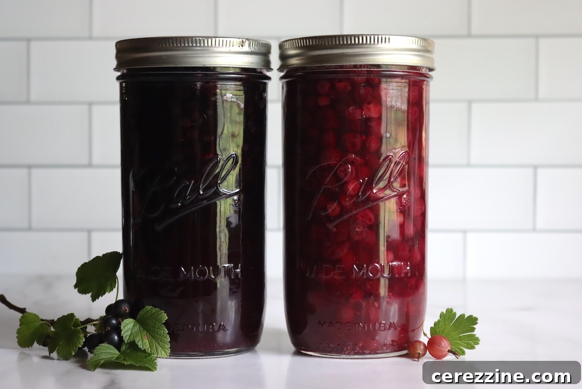 Preserving Tangy Gooseberry Pie Filling 3 Gooseberry and Black Currant Pie Filling