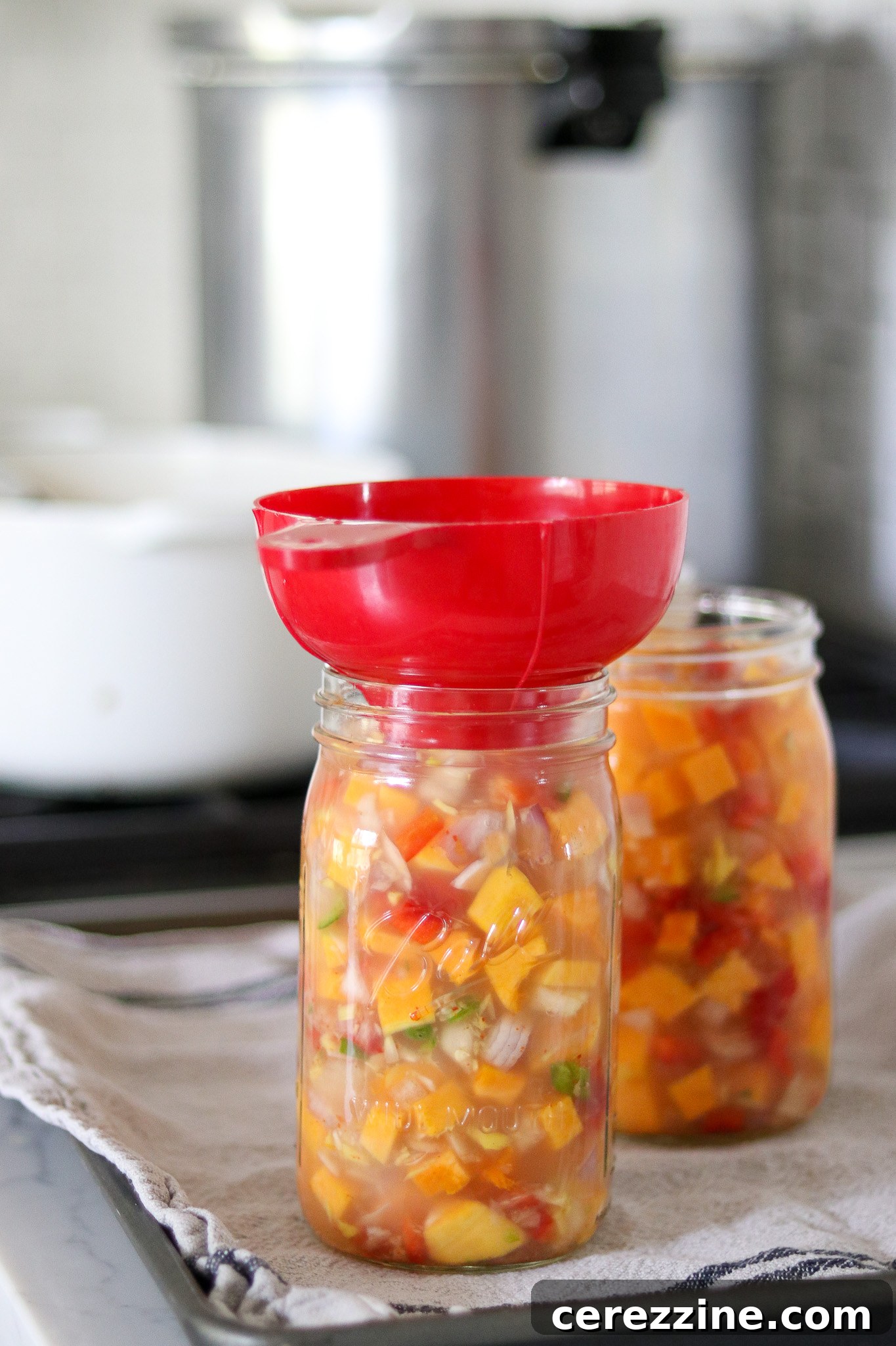 Reliable Recipe for Canned Thai Coconut Squash Soup 16 Hot Pack Thai Squash Soup