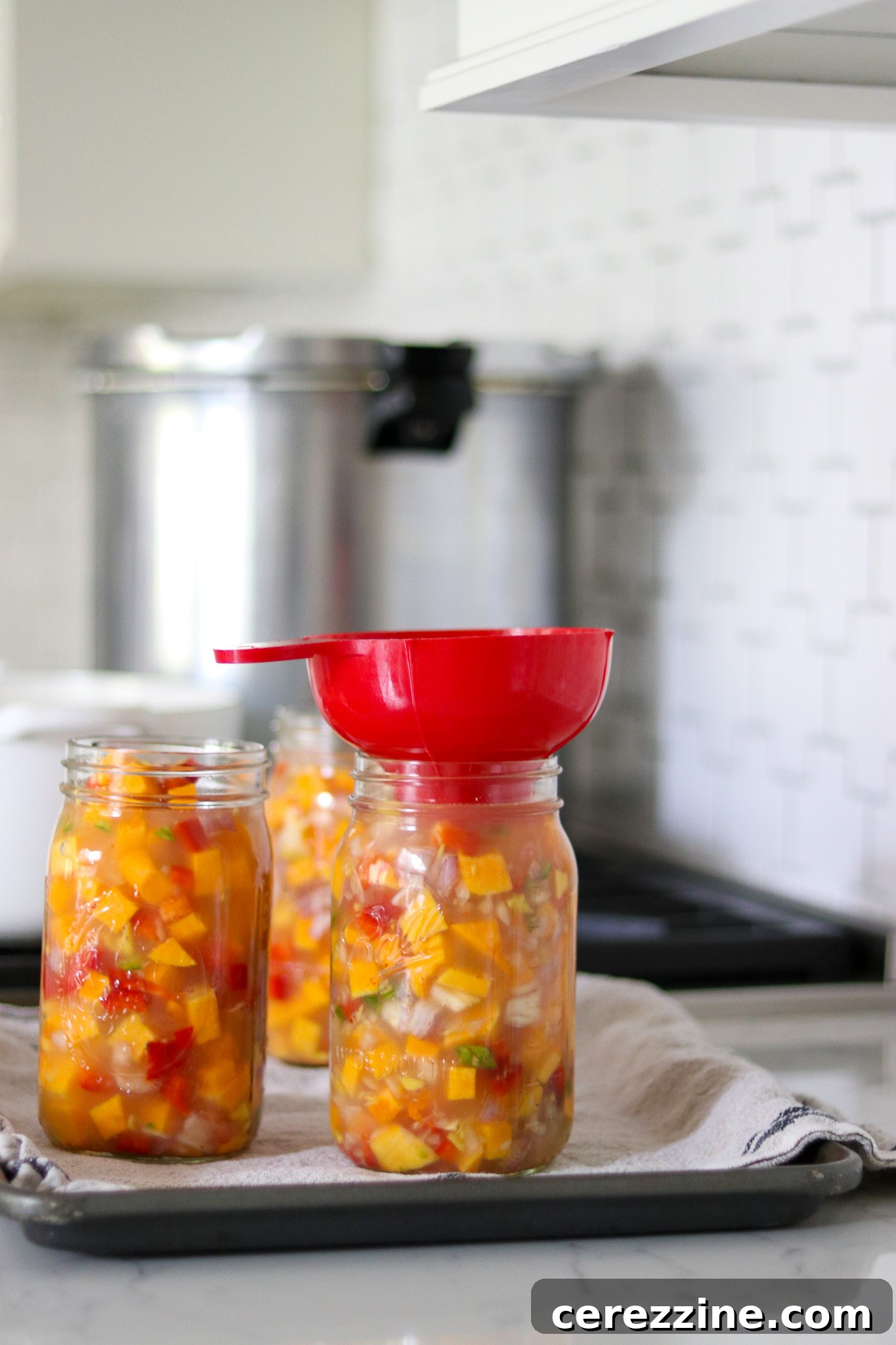 Reliable Recipe for Canned Thai Coconut Squash Soup - Cerezzine