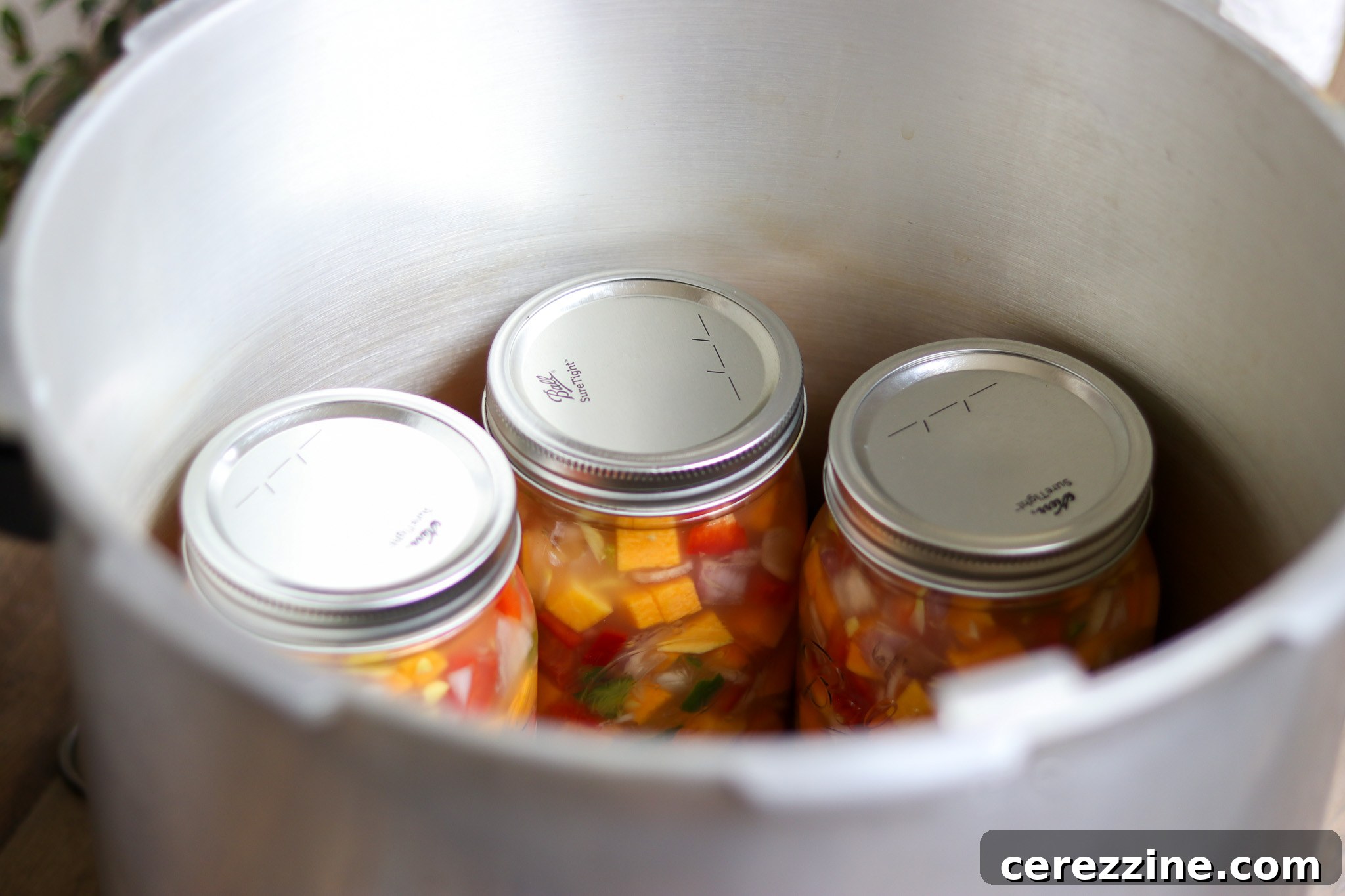 Reliable Recipe for Canned Thai Coconut Squash Soup 20 Canning Thai Squash Soup