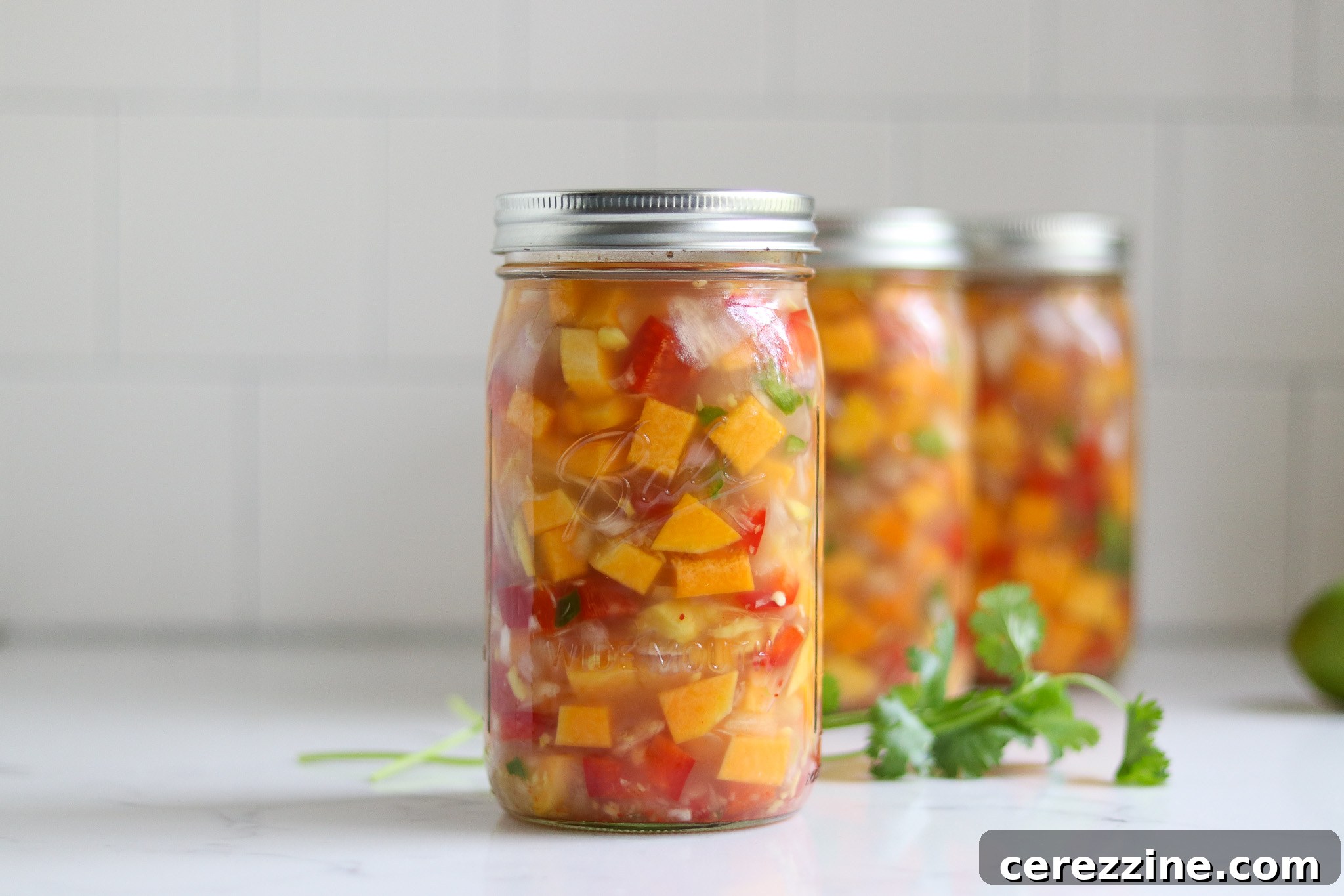 Reliable Recipe for Canned Thai Coconut Squash Soup 25 Ball Home Canning Thai Butternut Squash Soup with Coconut
