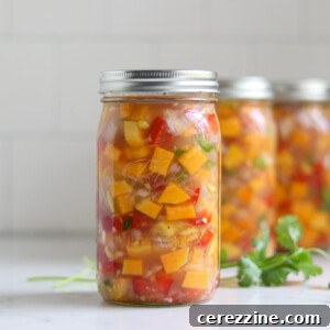 Reliable Recipe for Canned Thai Coconut Squash Soup 26 Ball Home Canning Thai Butternut Squash Soup with Coconut
