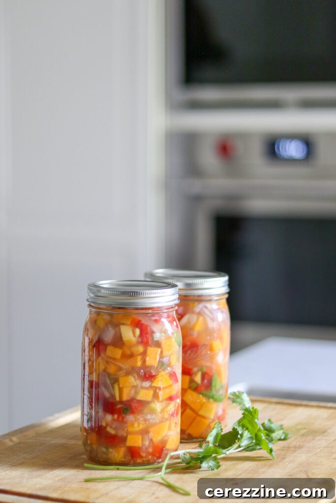 Reliable Recipe for Canned Thai Coconut Squash Soup 7 Home Canned Butternut Squash Soup Thai Style