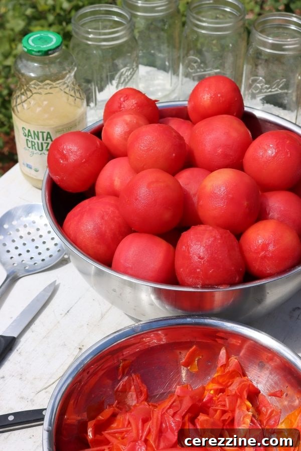 Simple Canned Vegetarian Pasta Sauce 4 Peeled Tomatoes