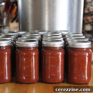 Simple Canned Vegetarian Pasta Sauce 7 Canning Spaghetti Sauce