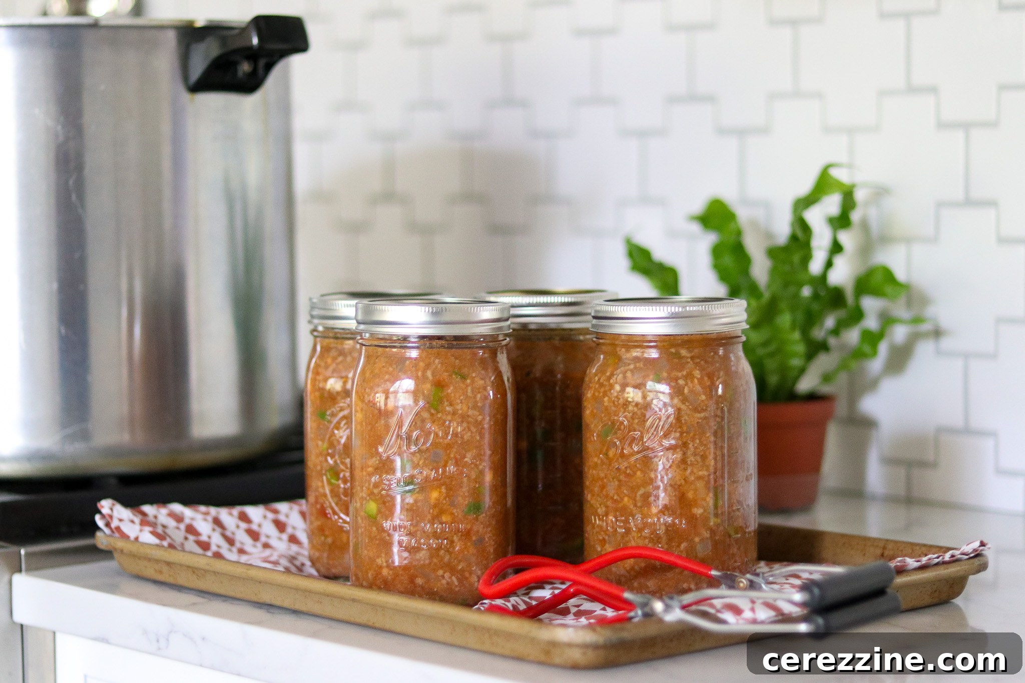 Canned Sloppy Joe Filling