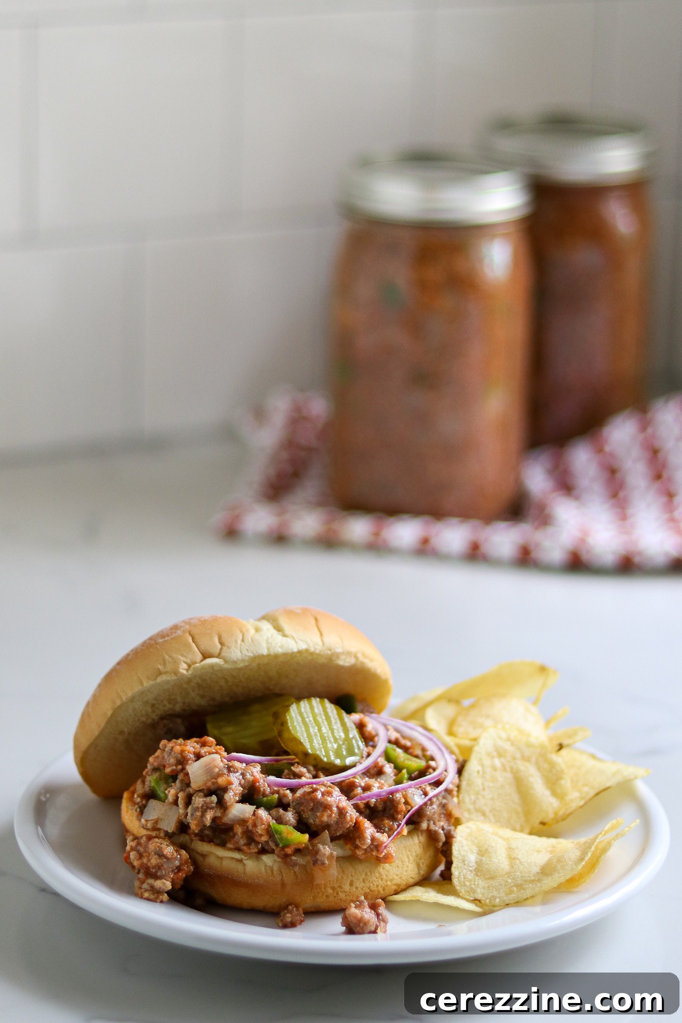 Serving Home Canned Sloppy Joe Filling