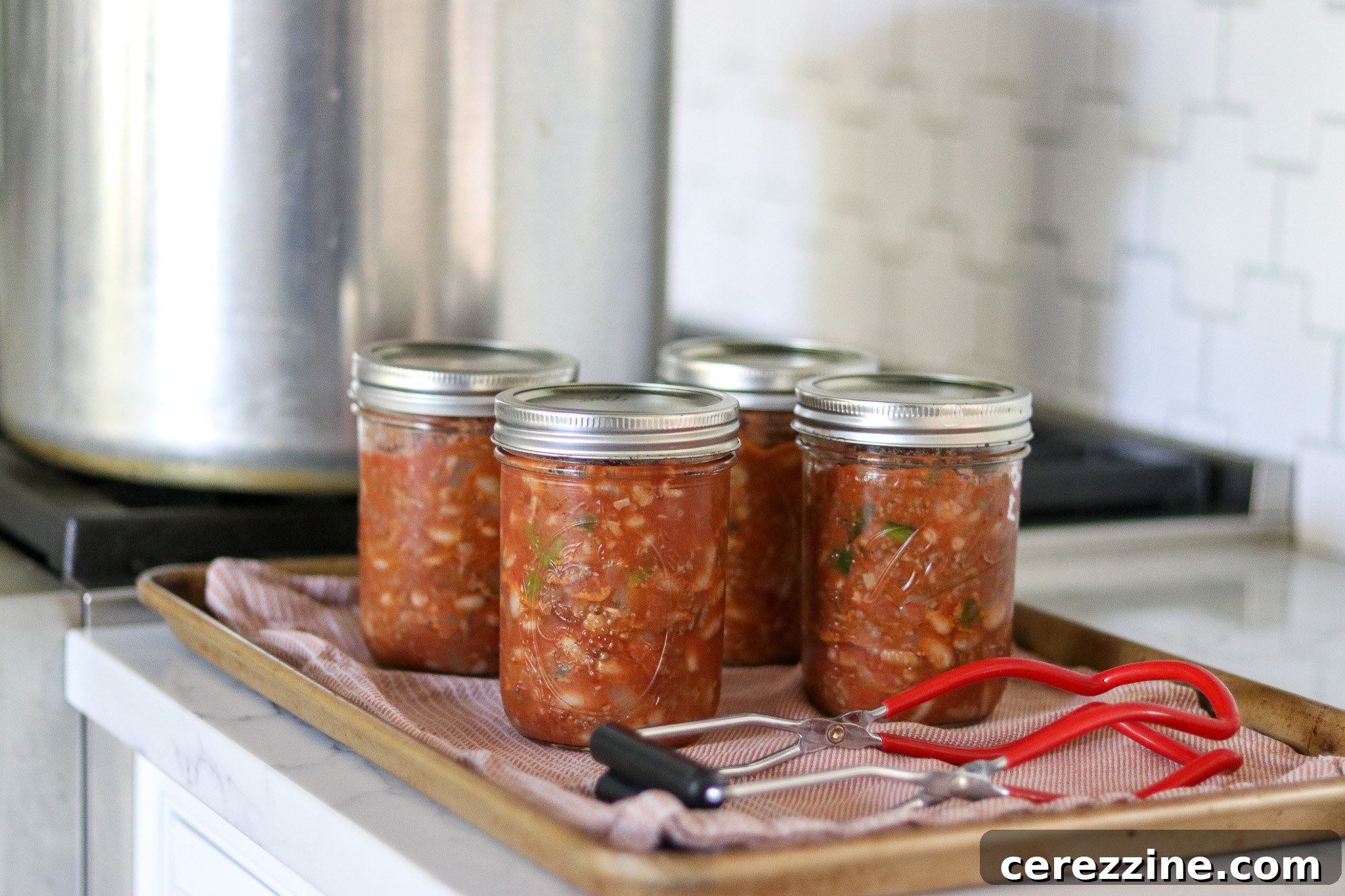 A Bounty of Canned Ground Beef Recipes 9 Pressure Canning Chili Con Carne with Ground Beef