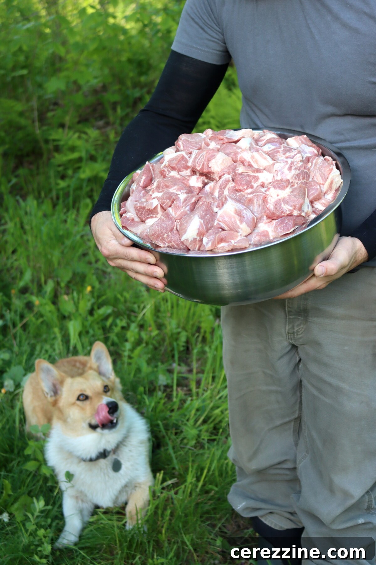 Pork Shoulder Canning