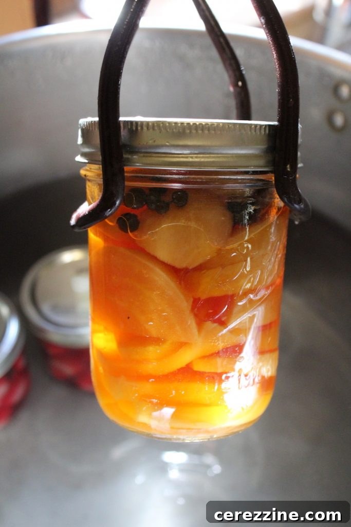 The Ultimate Guide Over Thirty Root Vegetable Canning Recipes 7 img 24051 6