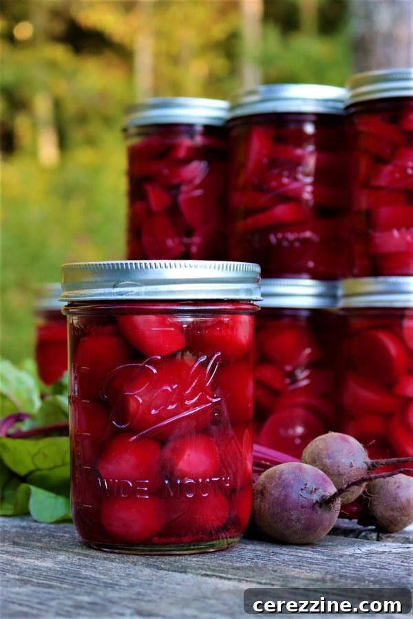 The Ultimate Guide Over Thirty Root Vegetable Canning Recipes 8 img 24051 7