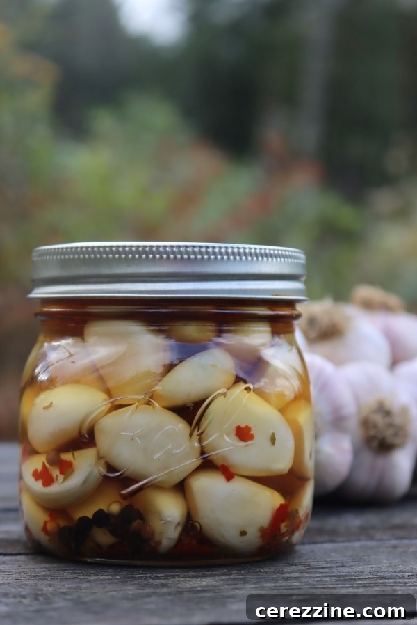 The Ultimate Guide Over Thirty Root Vegetable Canning Recipes 10 img 24051 9