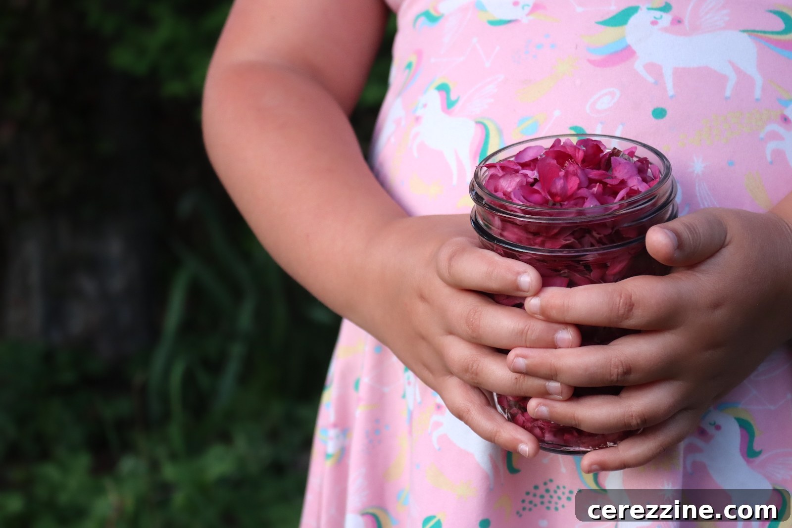 Spring Blossom Jelly Apple Cherry Peach Pear 11 Crabapple Flowers