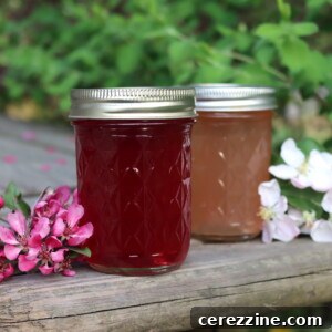 Spring Blossom Jelly Apple Cherry Peach Pear 13 Apple Blossom Jelly