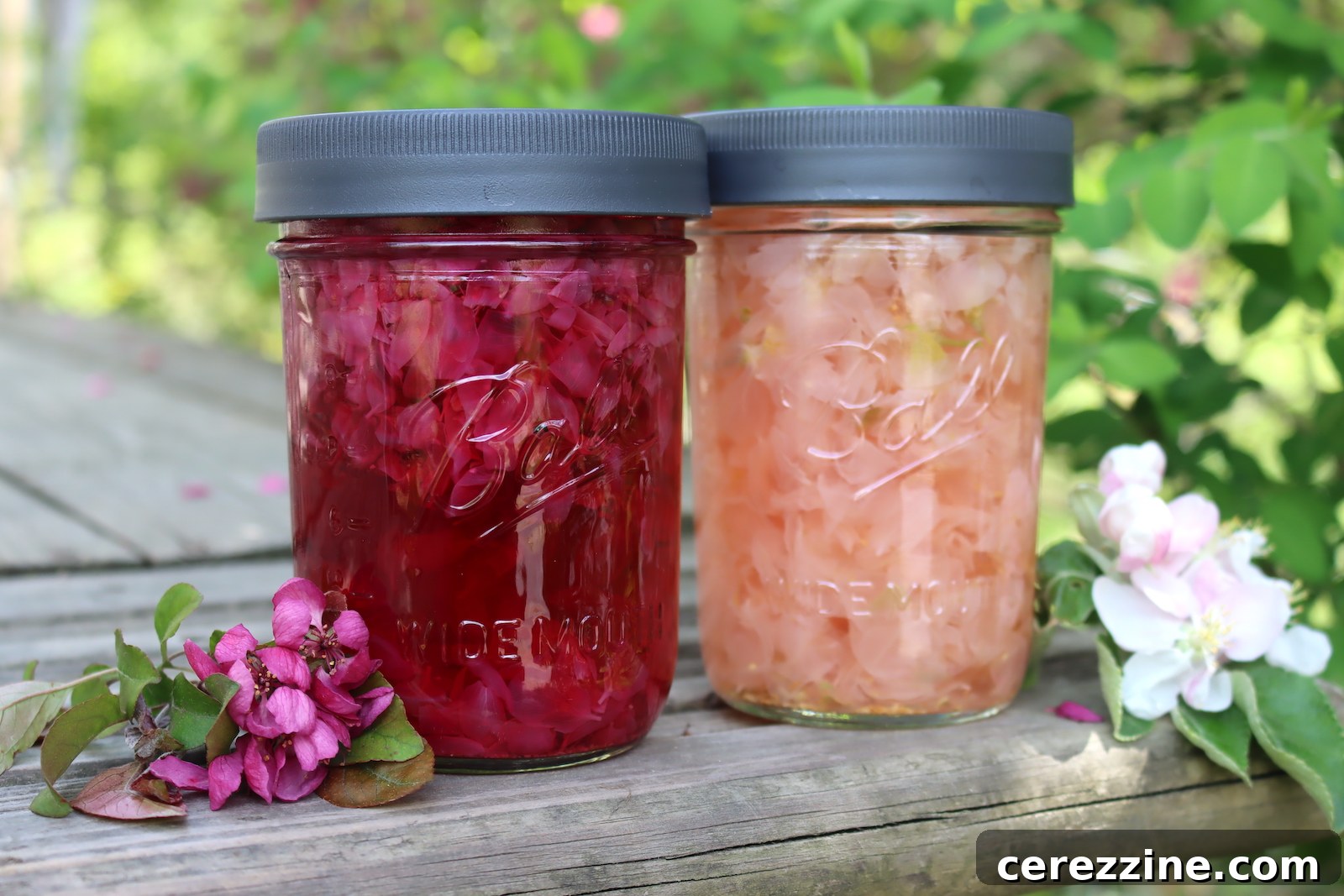 Spring Blossom Jelly Apple Cherry Peach Pear 4 Apple Blossom Tea