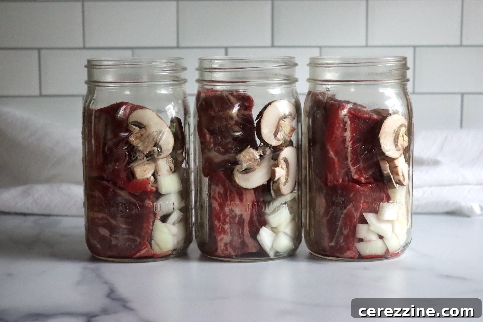 Raw Pack Canning Beef Stroganoff