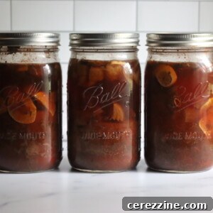 Canning Beef Stroganoff