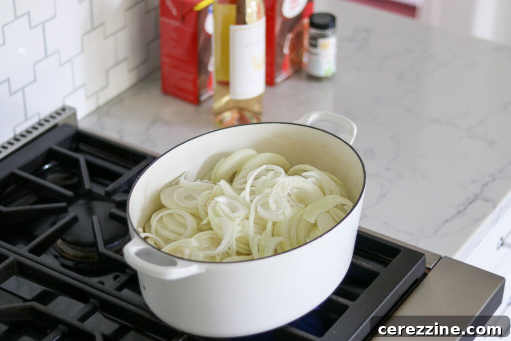 Cooking Onions for Soup