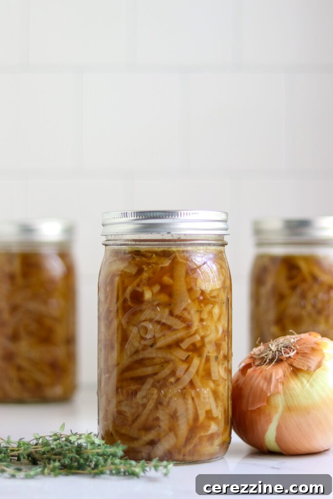 Pressure Canned Onion Soup