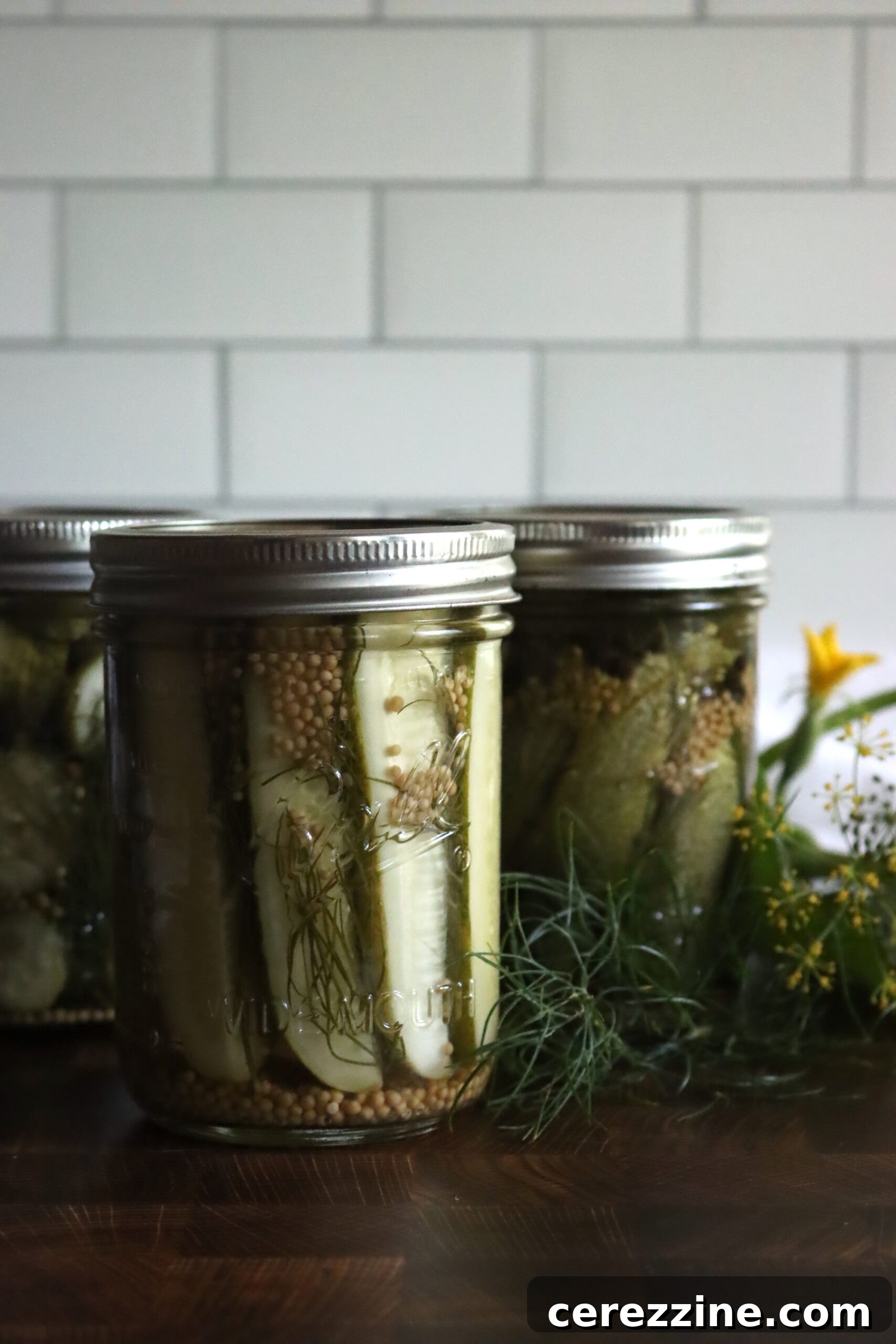 Homemade Dill Pickle Spears Recipe