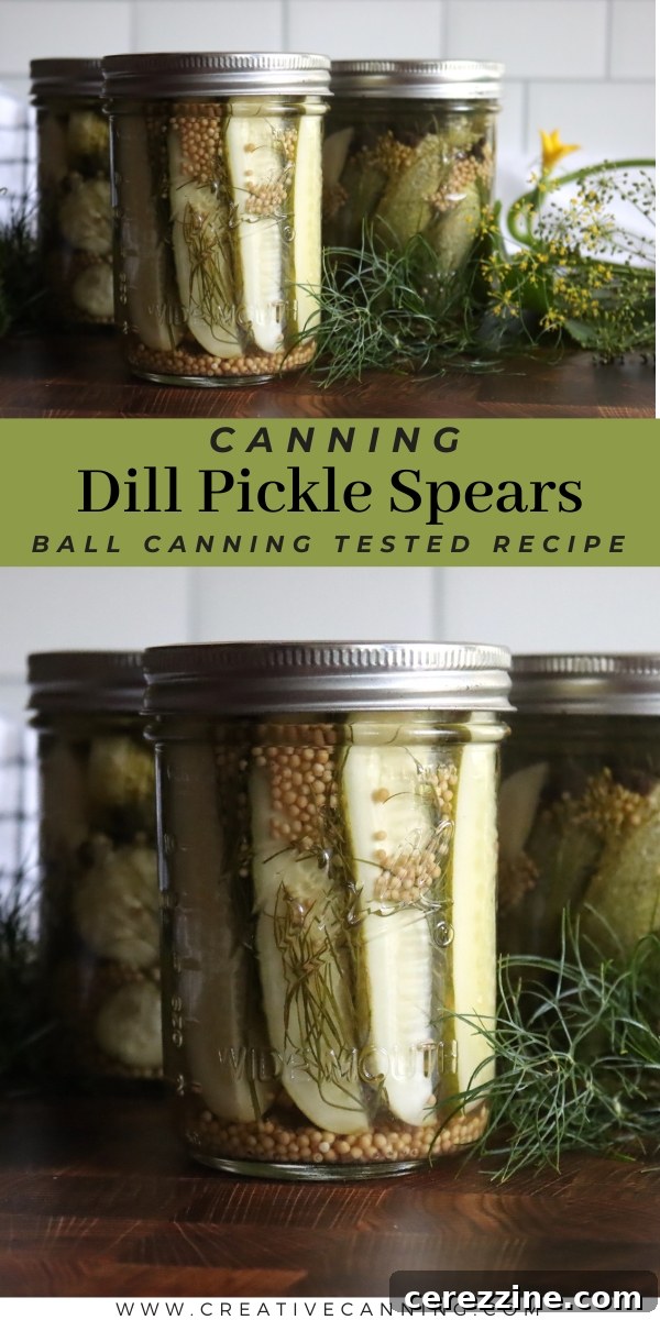 Canning Dill Pickle Spears in a Water Bath