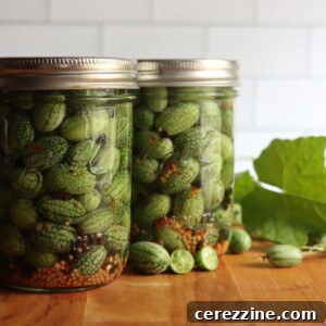 Cucamelon Pickles