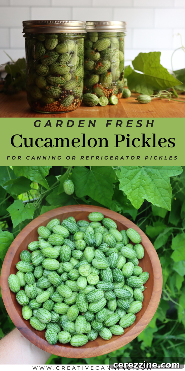 Cucamelon Pickles Recipe