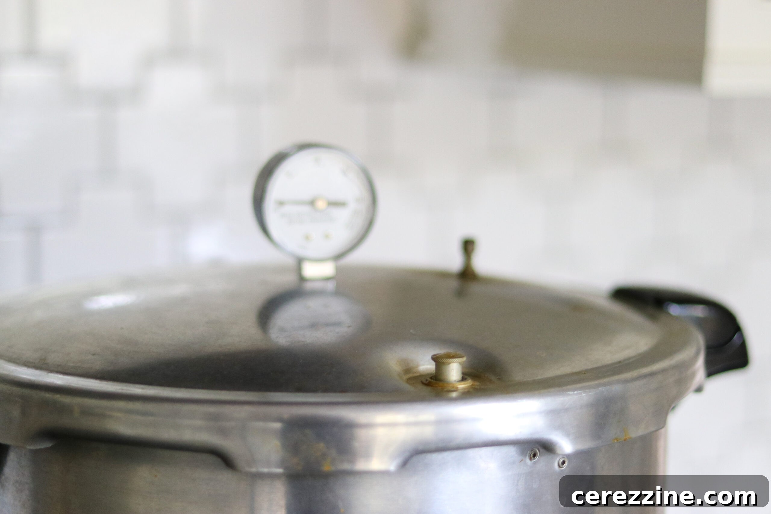 Dial Pressure canner
