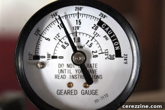 Home Canning Milk: A Dangerous Mistake? 3 Pressure Canner Gauge