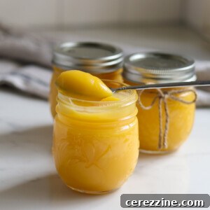Preserving Liquid Sunshine 28 Canning Lemon Curd
