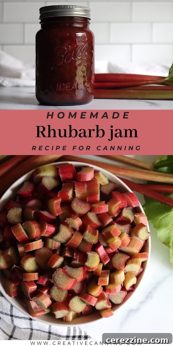 Ruby Red Rhubarb Jam 8 Rhubarb Jam Recipe Pin