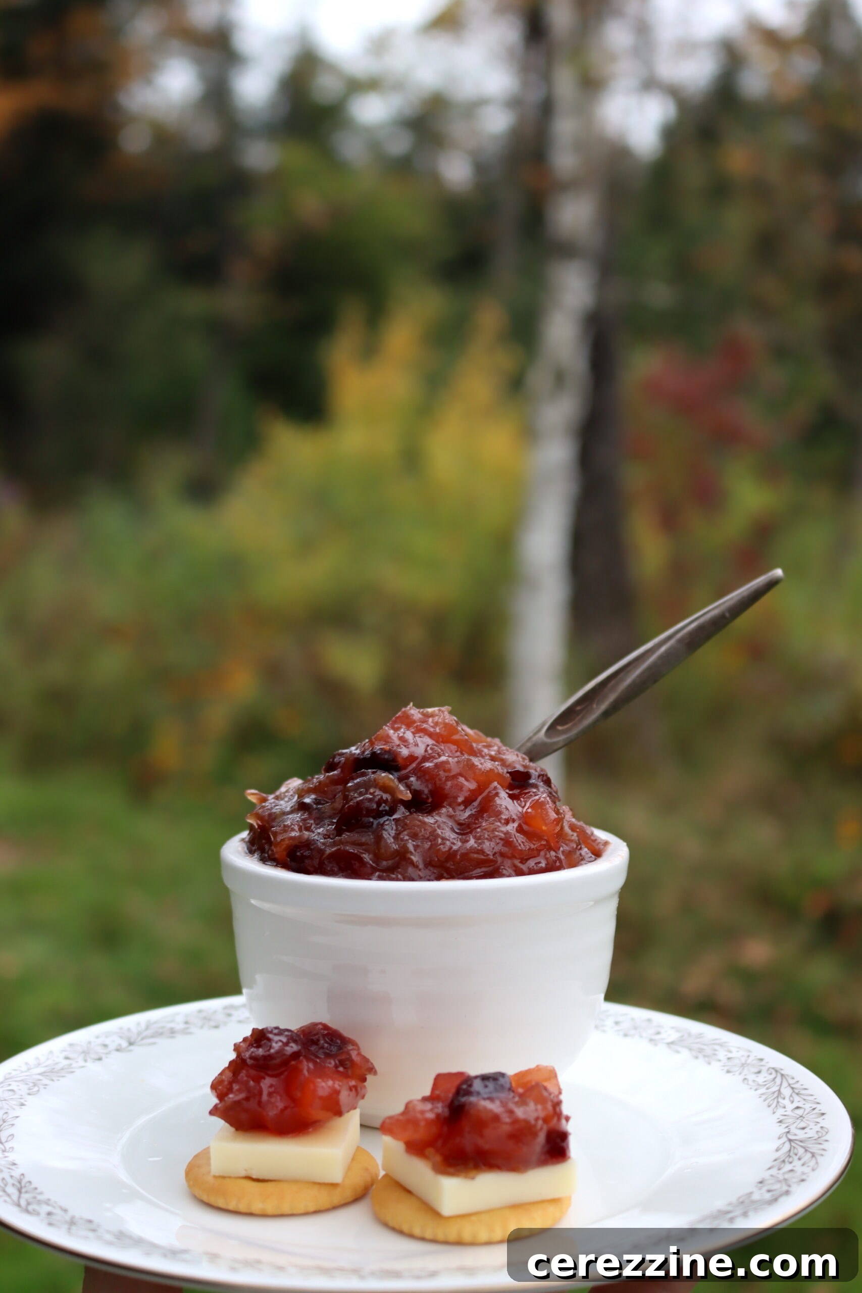 Zesty Rhubarb Chutney 6 Rhubarb chutney served with cheese and crackers on a plate