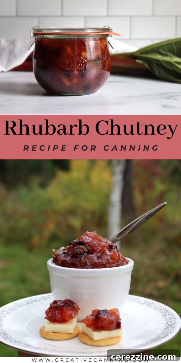 Zesty Rhubarb Chutney 7 A creative collage showcasing various rhubarb dishes and preserves, including pies, crumbles, and jars of chutney