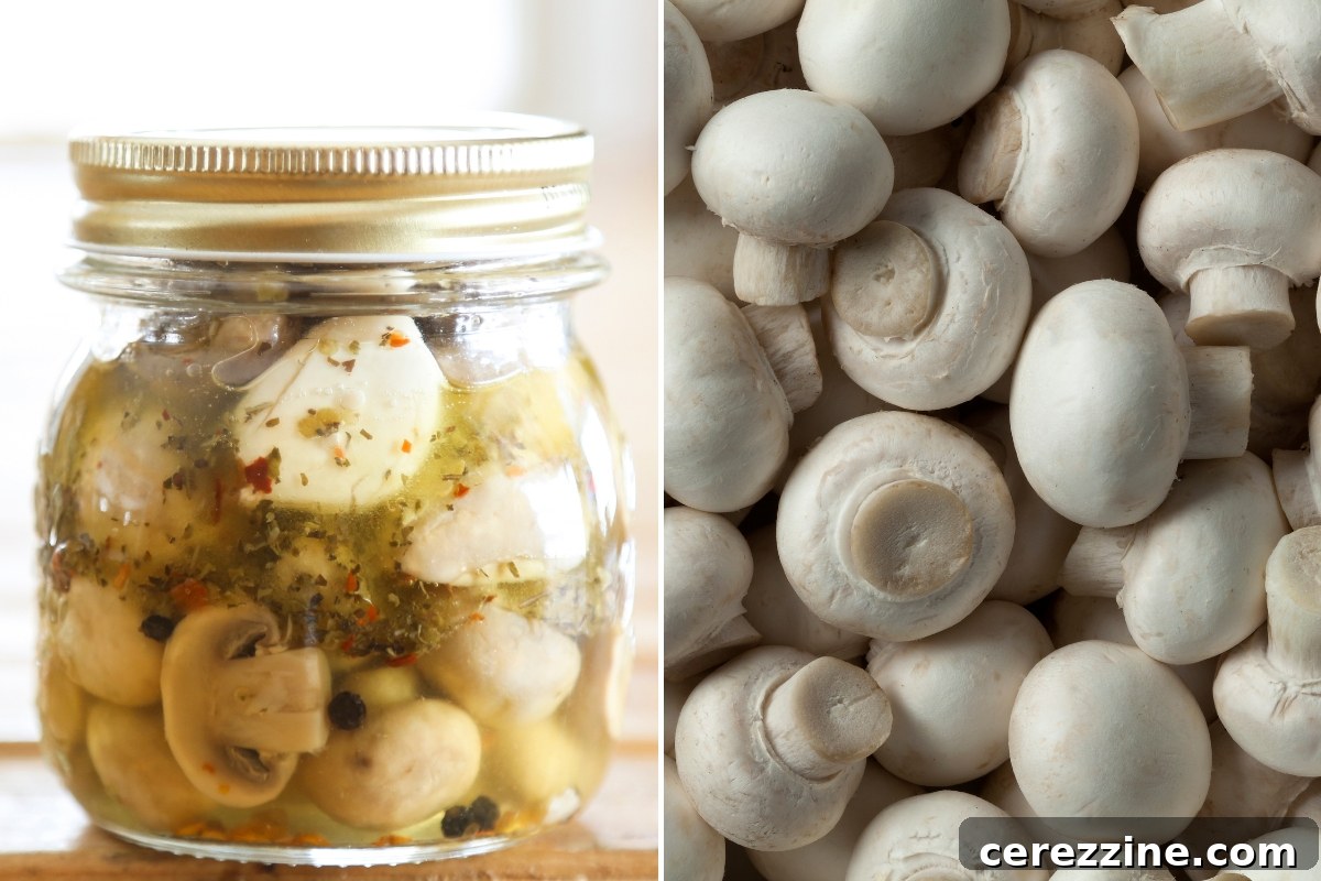 Canning zesty marinated mushrooms in glass jars