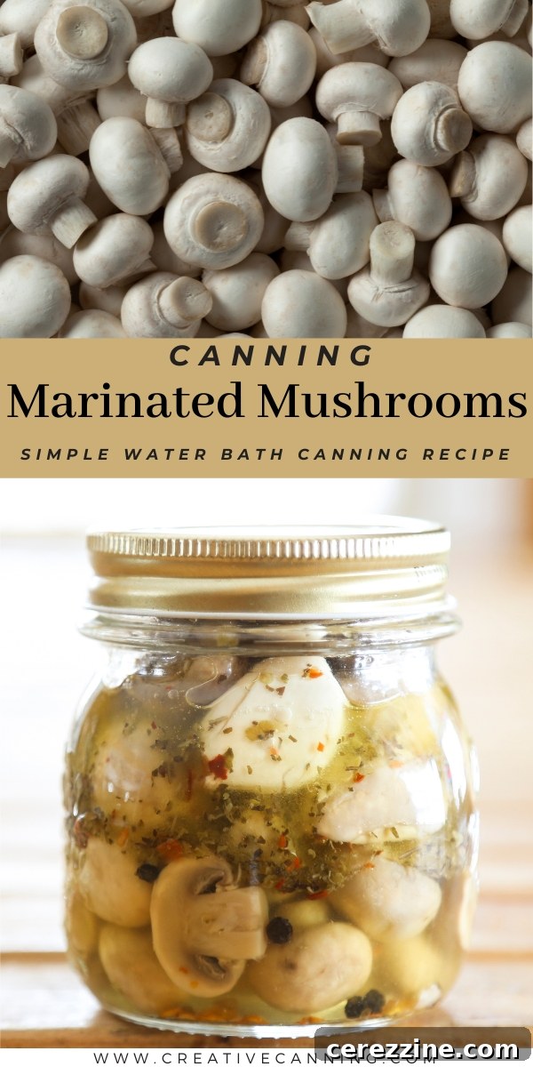 Marinated mushrooms in a glass jar, perfectly preserved for the pantry