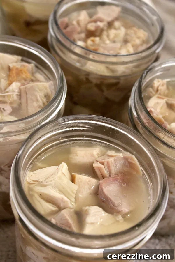 Turkey Packed in Stock for Canning