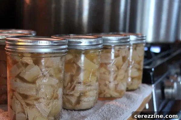Home Canned Leftover Turkey
