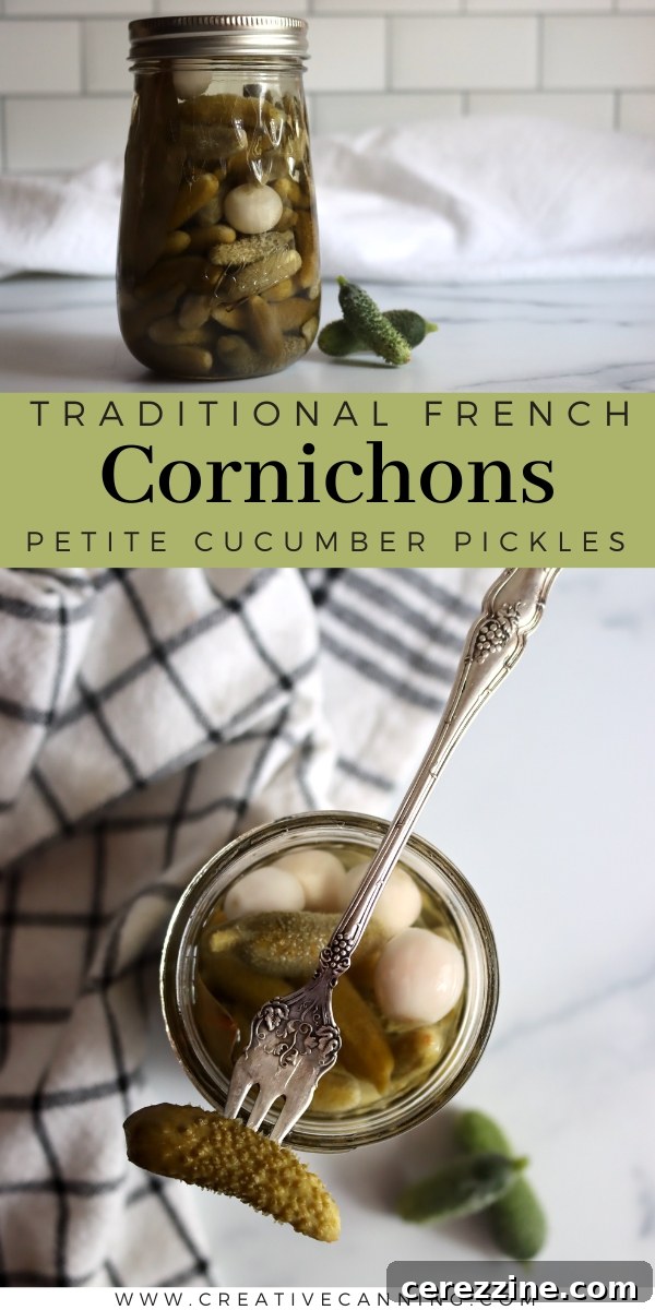 Cornichons Recipe