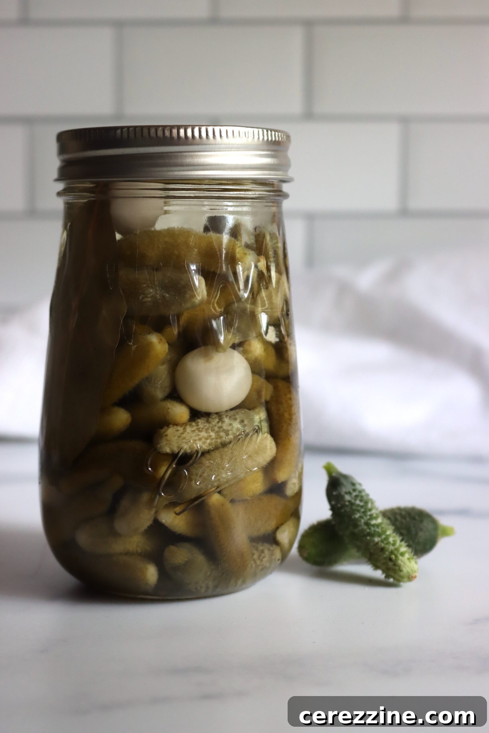 French Cornichons