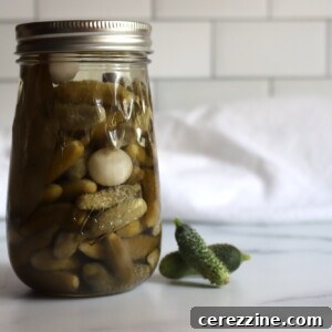 French Cornichons
