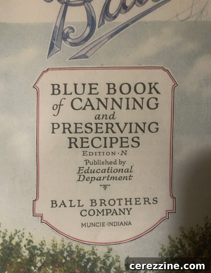 Edition N Ball Blue Book