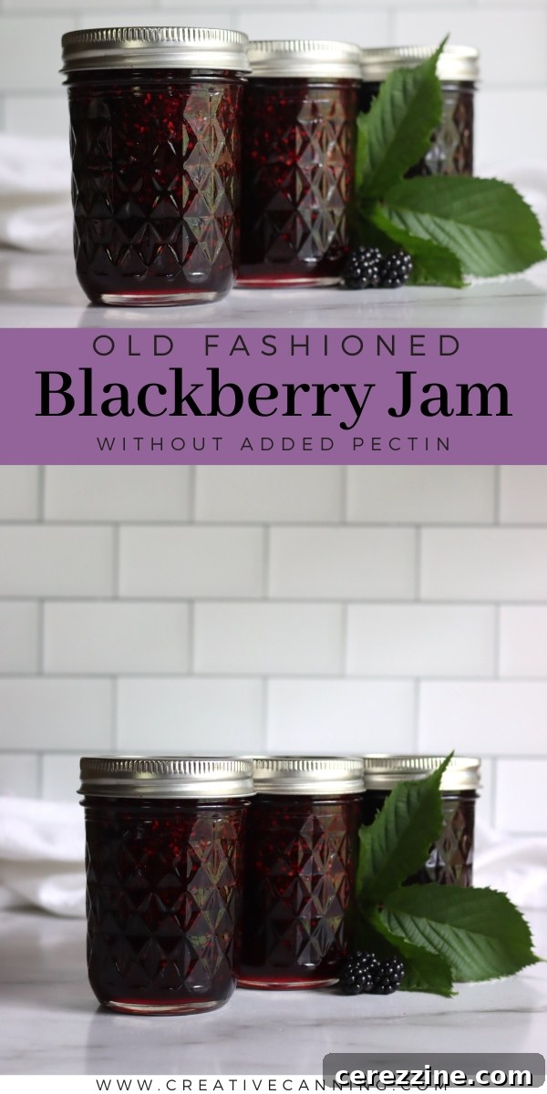 An assortment of jars filled with delicious homemade blackberry jam, without added pectin, showcasing the natural beauty of the fruit preserve.
