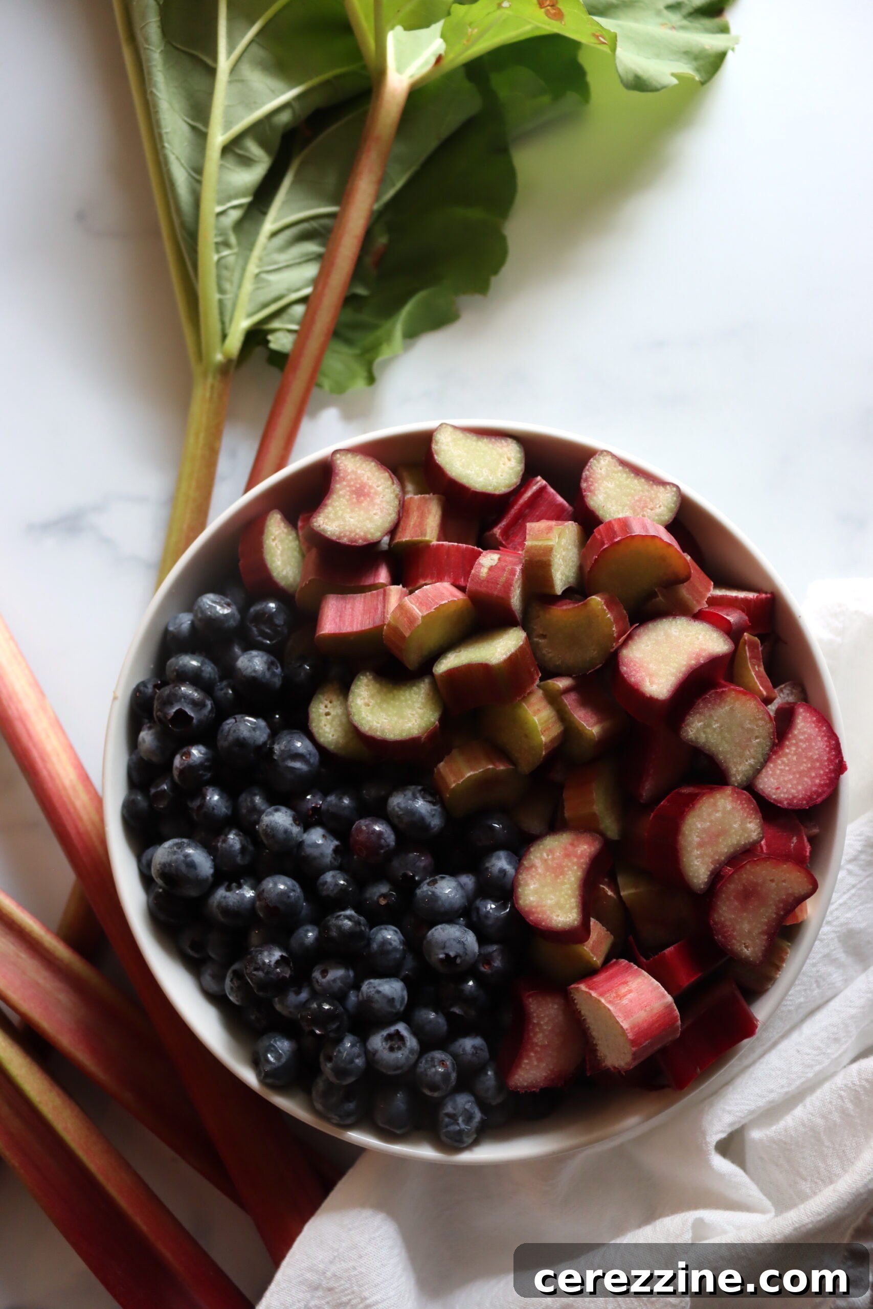 Fresh blueberries, chopped rhubarb, sugar, and lemon juice laid out as ingredients for jam