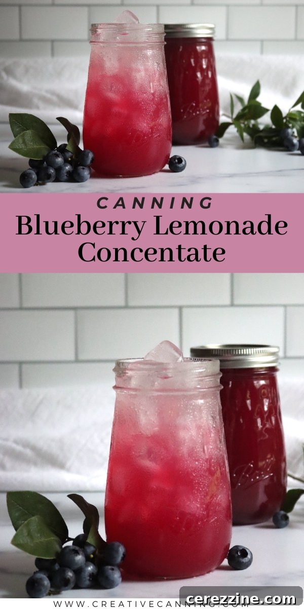 Canned Blueberry Lemonade Concentrate in Front of a Basket of Fresh Blueberries