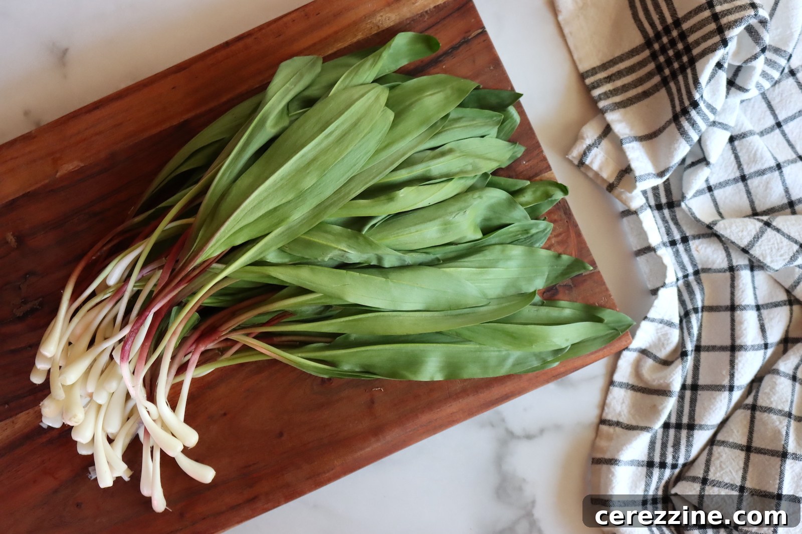 Freshly harvested ramps, ready for pickling